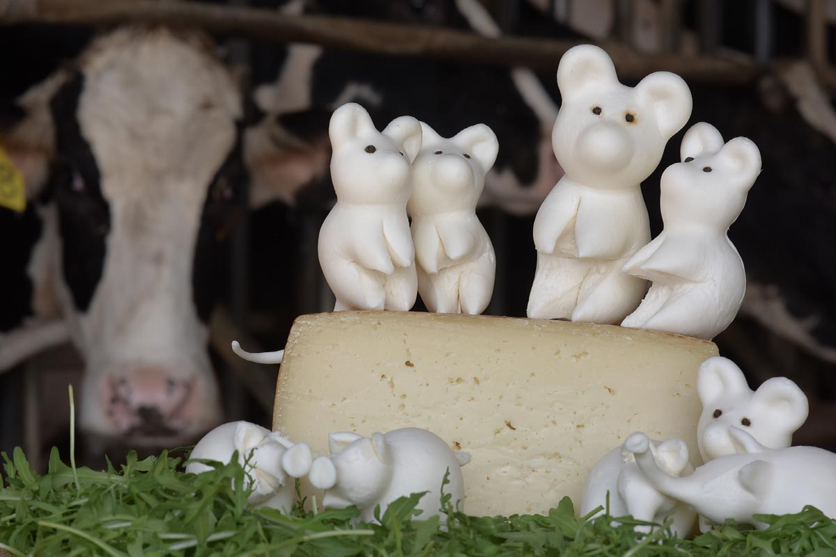 Animaletti e Giocattoli di Formaggio