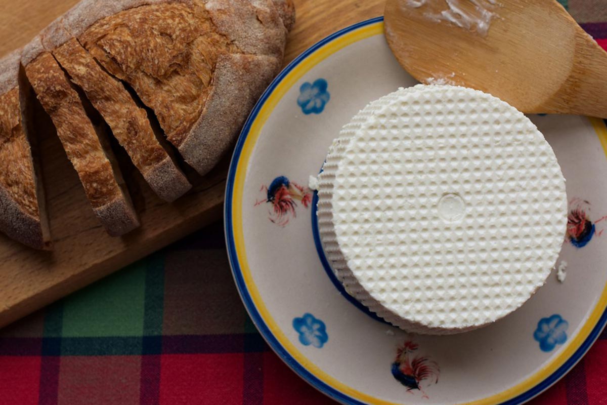 Ricotta